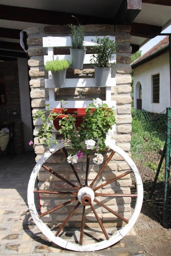Palic Vila Masa Pr Emina Stipancevic Екстериор снимка